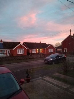 IMG_20241230_161150 (5).jpg