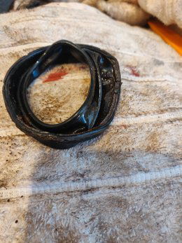 IMG 20250129 114956 IMG 20250129 114956