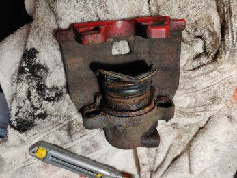 IMG 20250129 154744 IMG 20250129 154744