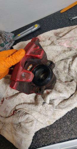 D6d99aec 5aee 4384 86a9 f8e9de691f93photo D6d99aec 5aee 4384 86a9 f8e9de691f93photo