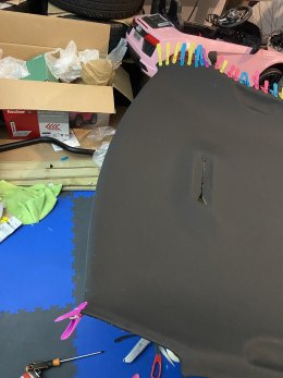 IMG_4849.jpeg