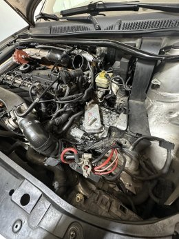 700707960_10242823920964938_5823531069358766509_n.jpg