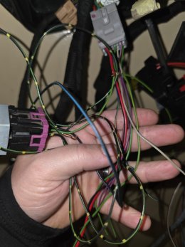 Grey connector pig tail.jpeg