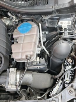 IMG20260920113753.jpg
