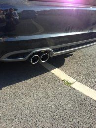 ImageUploadedByTapatalk1373132118449838