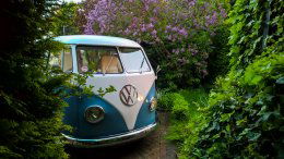 AdobePhotoshopExpress 100a785894d44423b32d4a454520d057