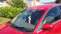 20160830_154517.jpg