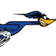 roadrunner_oz