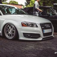 Slovicej8