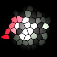 tiktok_78