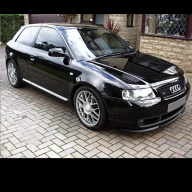 blackwiddow