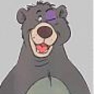 bearthebruce
