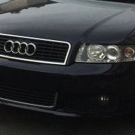 Lizard821000