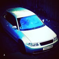 Bashley08