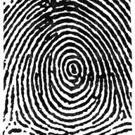 Ink Digit