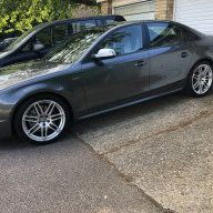 S3 TAM