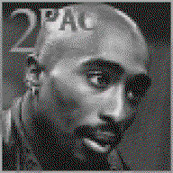 shady-ninja