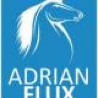 DAN@ADRIAN FLUX