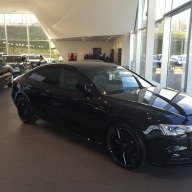 Blackstud