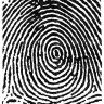 Ink Digit