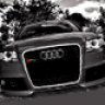 RS4ANT