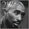 shady-ninja
