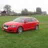 red or dead