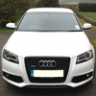 audigex