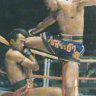 Thai Boxer