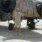 gaz m
