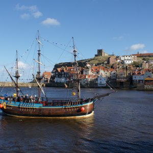 DSC07790