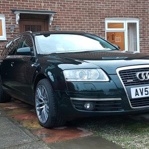 Freshly cleaned