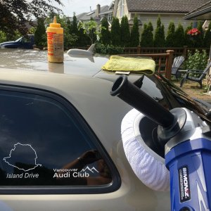 Gotta work on that shine