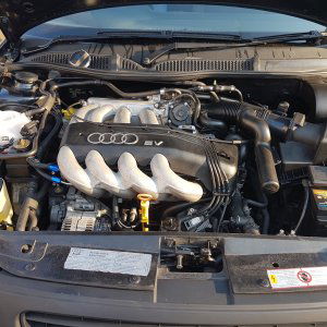 A3 8L Engine Bay