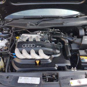 A3 8L Engine Bay