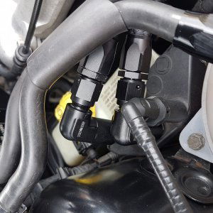 AN6 90 Degree Connectors